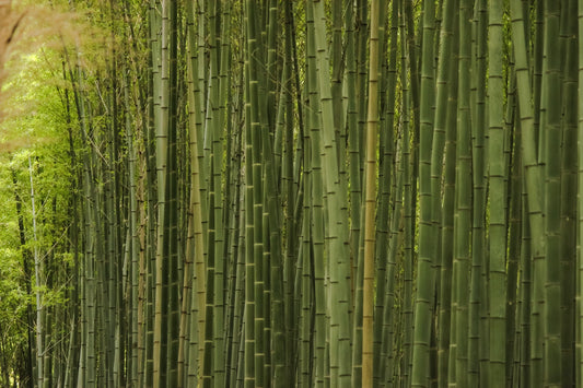 What is Bamboo Furniture?