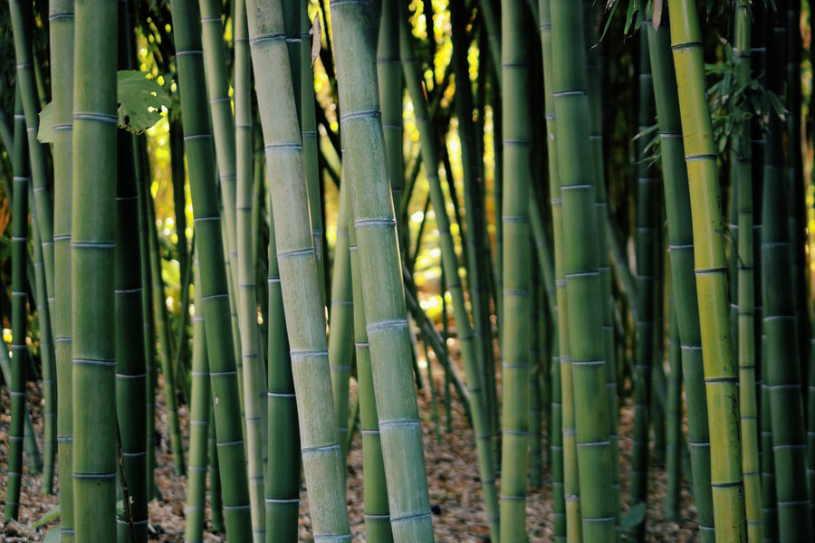 Is bamboo furniture waterproof?