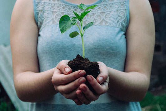Where To Buy Earth Friendly Products