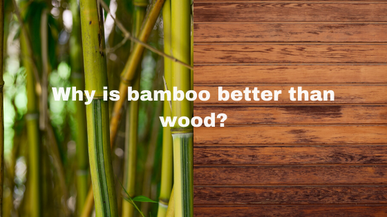 Why is bamboo better than wood?